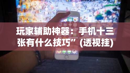 玩家辅助神器：手机十三张有什么技巧”(透视挂)辅助下载教程