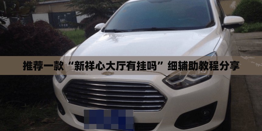推荐一款“新祥心大厅有挂吗	”细辅助教程分享