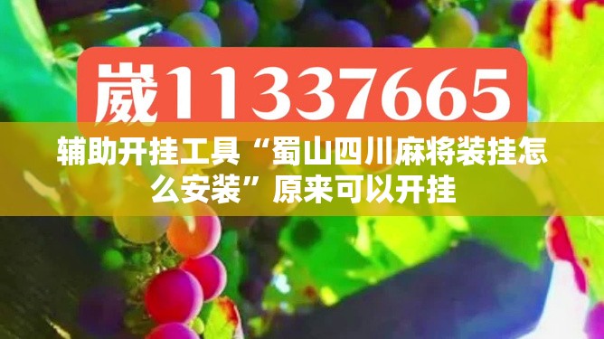 辅助开挂工具“蜀山四川麻将装挂怎么安装”原来可以开挂