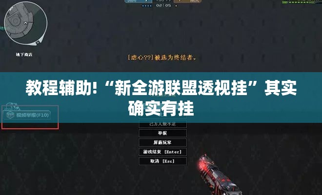 教程辅助!“新全游联盟透视挂”其实确实有挂