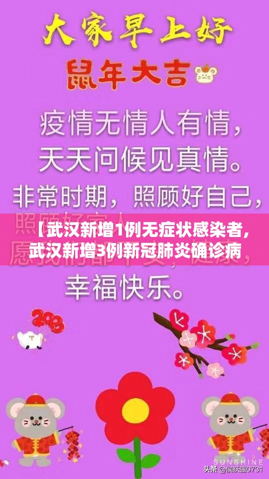 【武汉新增1例无症状感染者,武汉新增3例新冠肺炎确诊病例和12例无症状感染者】
