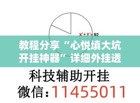 教程分享“心悦填大坑开挂神器”详细外挂透视辅助软件教程