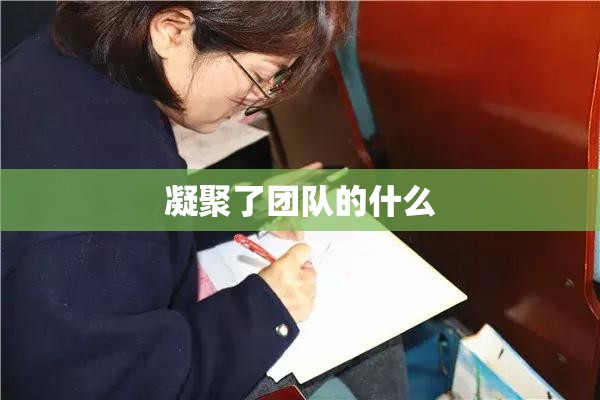 凝聚了团队的什么:凝聚 团队