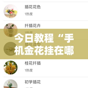 今日教程“手机金花挂在哪买	”详细开挂教程