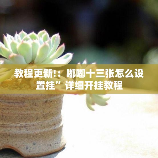教程更新!：嘟嘟十三张怎么设置挂”详细开挂教程