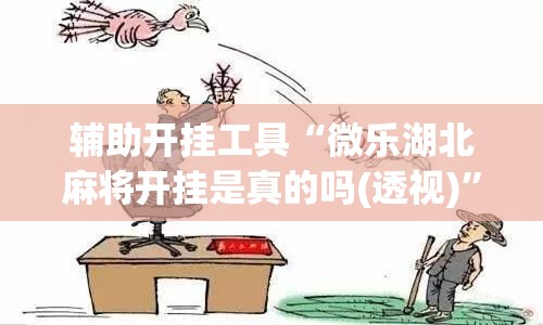 辅助开挂工具“微乐湖北麻将开挂是真的吗(透视)”开挂辅助脚本+详细开挂安装教程