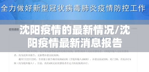 沈阳疫情的最新情况/沈阳疫情最新消息报告