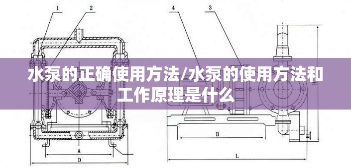 水泵的正确使用方法/水泵的使用方法和工作原理是什么