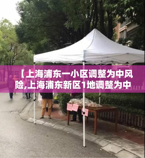【上海浦东一小区调整为中风险,上海浦东新区1地调整为中风险】