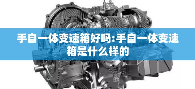 手自一体变速箱好吗:手自一体变速箱是什么样的