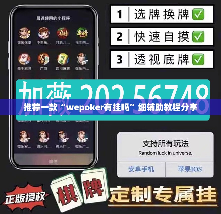 推荐一款“wepoker有挂吗	”细辅助教程分享