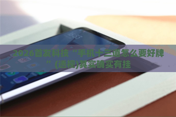 2026首发科技“手机十三道怎么要好牌”(透视)其实确实有挂