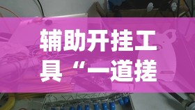 辅助开挂工具“一道搓百搭有挂吗”(透视)其实确实有挂