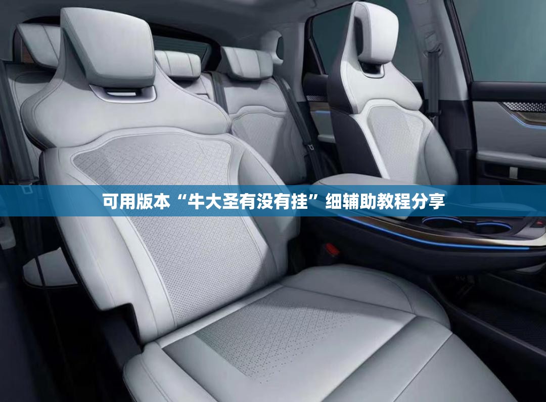 可用版本“牛大圣有没有挂”细辅助教程分享