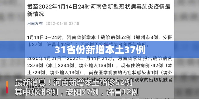 31省份新增本土37例:31省新增本土确诊37例 31省份新增本土37例:31省新增本土确诊37例