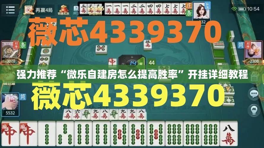 强力推荐“微乐自建房怎么提高胜率”开挂详细教程