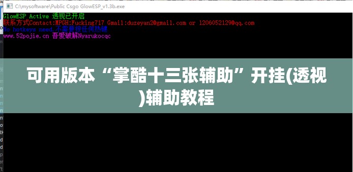 可用版本“掌酷十三张辅助”开挂(透视)辅助教程