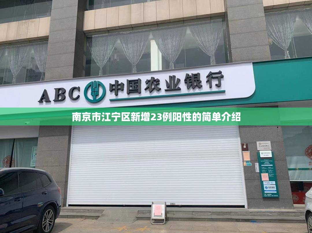 南京市江宁区新增23例阳性的简单介绍 南京市江宁区新增23例阳性的简单介绍
