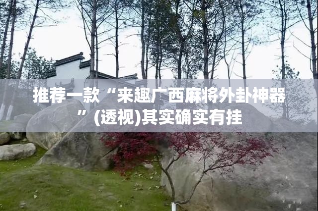 推荐一款“来趣广西麻将外卦神器	”(透视)其实确实有挂