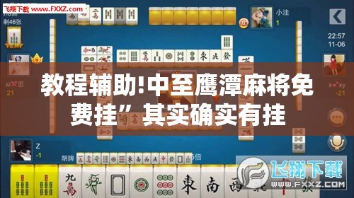 教程辅助!中至鹰潭麻将免费挂”其实确实有挂