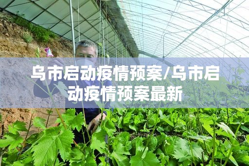 乌市启动疫情预案/乌市启动疫情预案最新