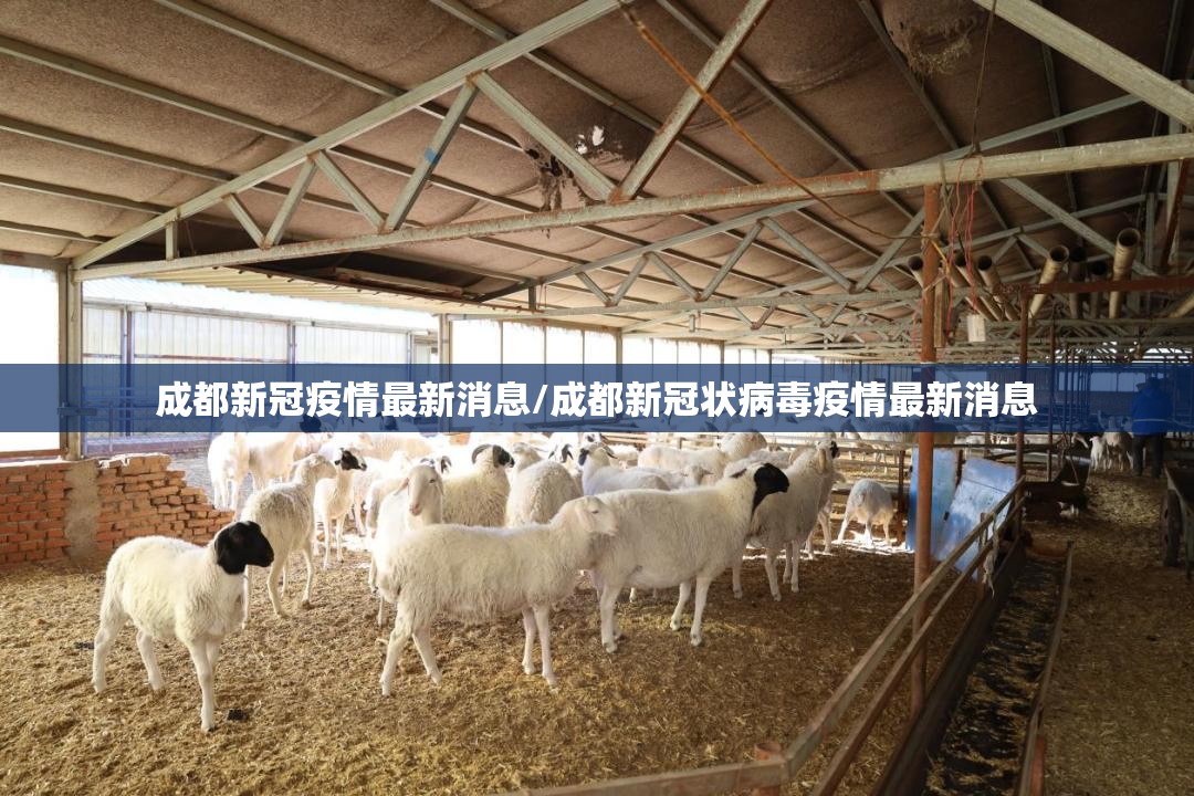 成都新冠疫情最新消息/成都新冠状病毒疫情最新消息 成都新冠疫情最新消息/成都新冠状病毒疫情最新消息