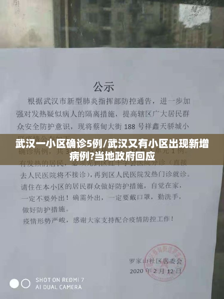 武汉一小区确诊5例/武汉又有小区出现新增病例?当地政府回应 武汉一小区确诊5例/武汉又有小区出现新增病例?当地政府回应