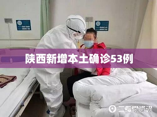 陕西新增本土确诊53例/陕西新增本土疑似病例 陕西新增本土确诊53例/陕西新增本土疑似病例