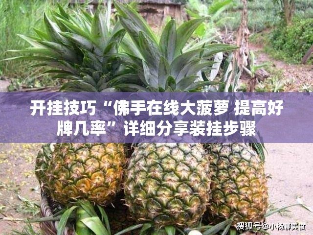 开挂技巧“佛手在线大菠萝 提高好牌几率”详细分享装挂步骤