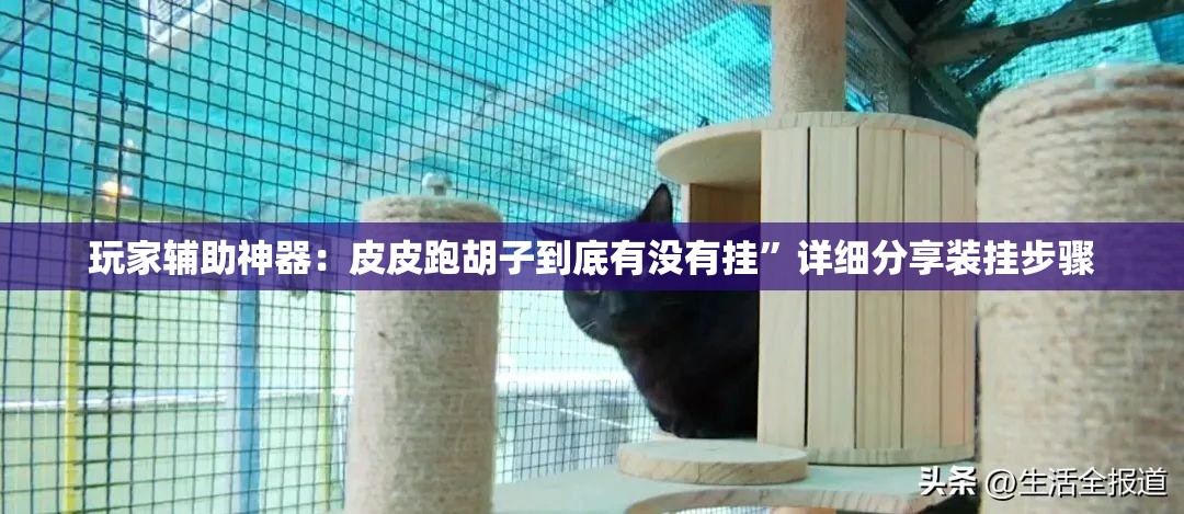 玩家辅助神器：皮皮跑胡子到底有没有挂”详细分享装挂步骤