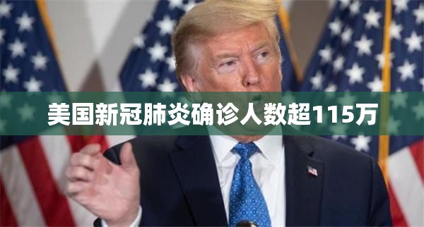 美国新冠肺炎确诊人数超115万/美国新冠肺炎确诊病例人数 美国新冠肺炎确诊人数超115万/美国新冠肺炎确诊病例人数