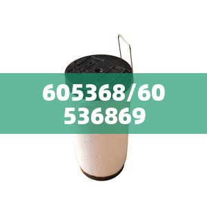 605368/60536869 605368/60536869