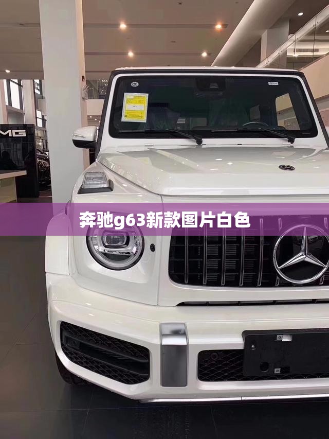 【奔驰g63新款图片白色,奔驰g63新款图片白色内饰】 【奔驰g63新款图片白色,奔驰g63新款图片白色内饰】