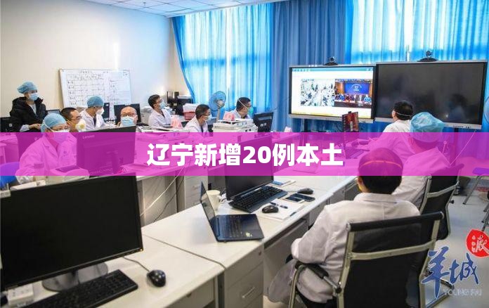辽宁新增20例本土/辽宁新增本土病例情况 辽宁新增20例本土/辽宁新增本土病例情况