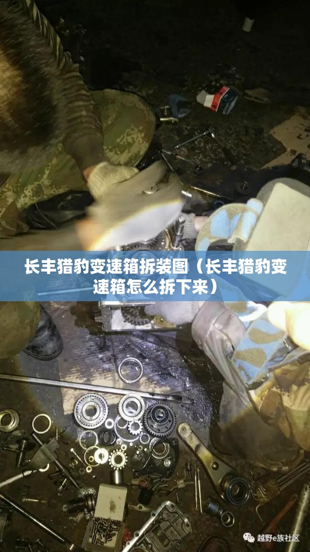 长丰猎豹变速箱拆装图(长丰猎豹变速箱怎么拆下来) 长丰猎豹变速箱拆装图(长丰猎豹变速箱怎么拆下来)