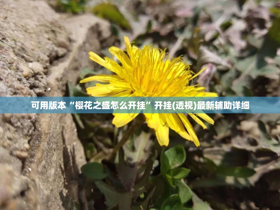 可用版本“樱花之盛怎么开挂”开挂(透视)最新辅助详细