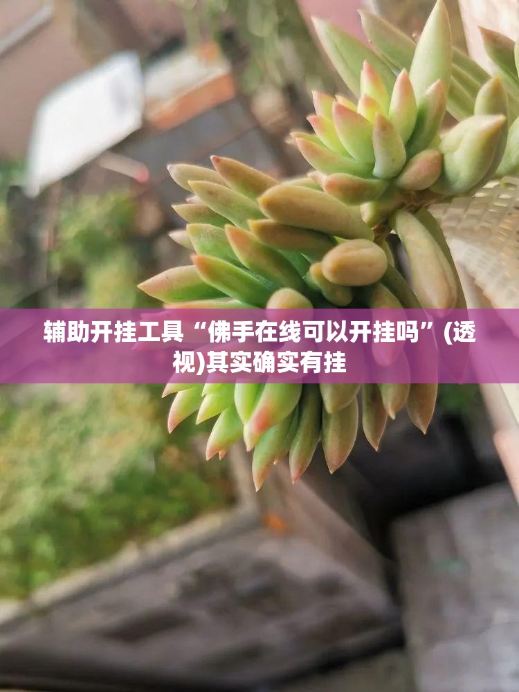 辅助开挂工具“佛手在线可以开挂吗”(透视)其实确实有挂