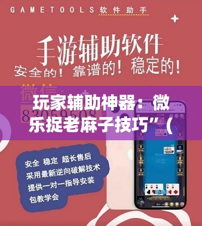 玩家辅助神器：微乐捉老麻子技巧”(透视挂)辅助下载教程