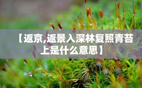 【返京,返景入深林复照青苔上是什么意思】 【返京,返景入深林复照青苔上是什么意思】