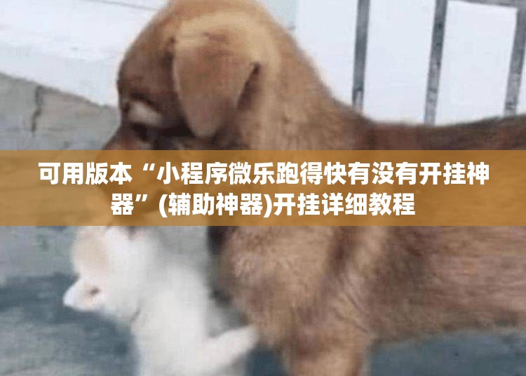 可用版本“小程序微乐跑得快有没有开挂神器”(辅助神器)开挂详细教程