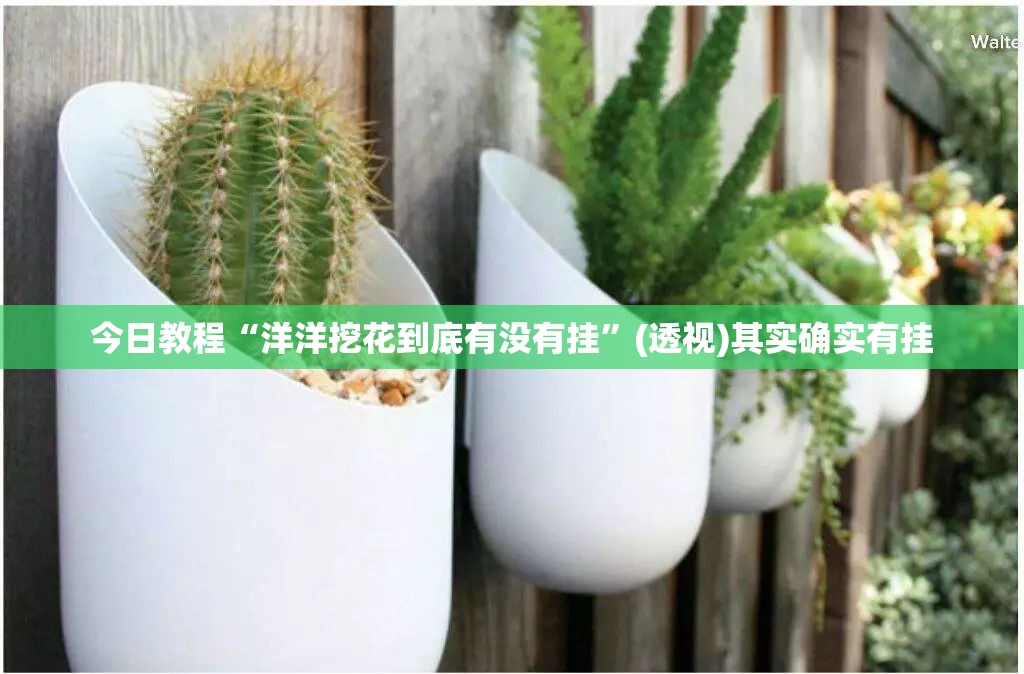 今日教程“洋洋挖花到底有没有挂	”(透视)其实确实有挂