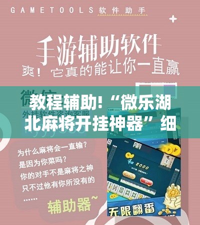教程辅助!“微乐湖北麻将开挂神器”细辅助教程分享