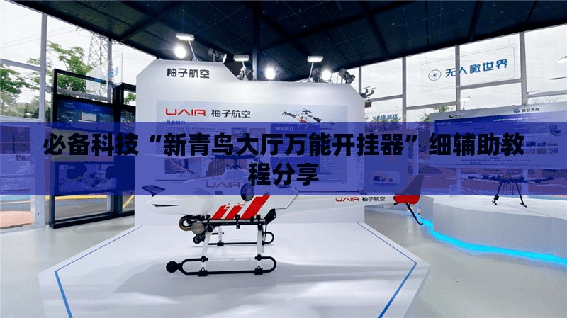 必备科技“新青鸟大厅万能开挂器”细辅助教程分享