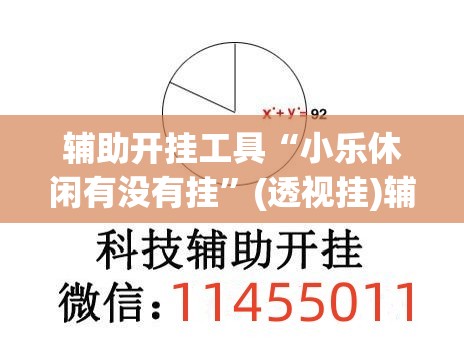 辅助开挂工具“小乐休闲有没有挂”(透视挂)辅助下载教程