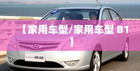 【家用车型/家用车型 B1】 【家用车型/家用车型 B1】