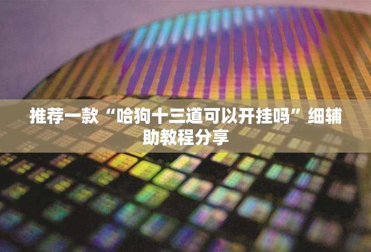 推荐一款“哈狗十三道可以开挂吗”细辅助教程分享