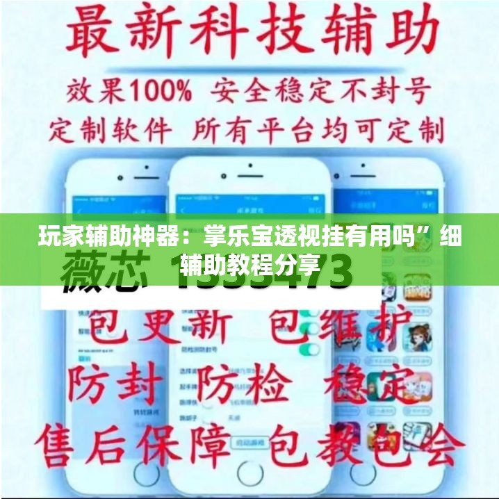 玩家辅助神器：掌乐宝透视挂有用吗”细辅助教程分享