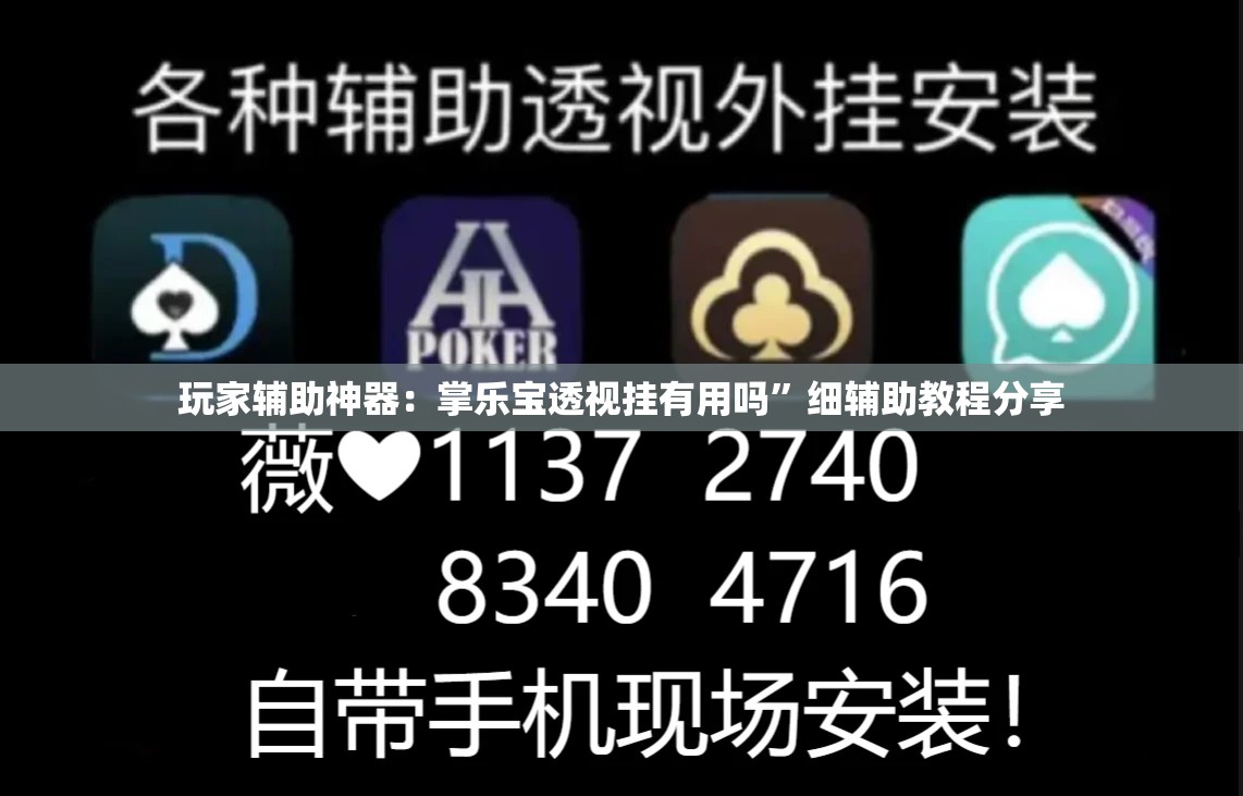 玩家辅助神器：掌乐宝透视挂有用吗	”细辅助教程分享