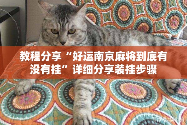 教程分享“好运南京麻将到底有没有挂	”详细分享装挂步骤