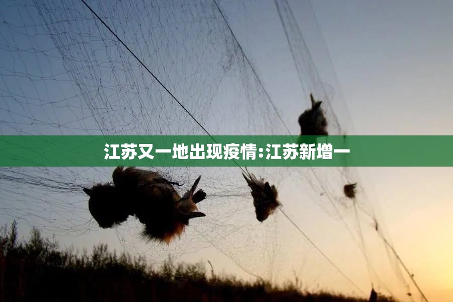 江苏又一地出现疫情:江苏新增一 江苏又一地出现疫情:江苏新增一